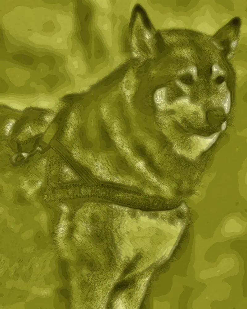 The matcha look on a dog portrait, recovered exactly